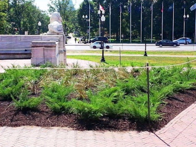 Union Station Garden Finished Bed