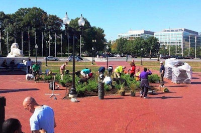 Union Station Volunteers Plant 600 Junipers Grasses