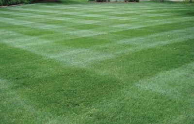 Overseeded Bermuda grass with perennial ryegrass blends are fertilized with Agrium Advanced Technologies’ XCU slow-release fertilizer.