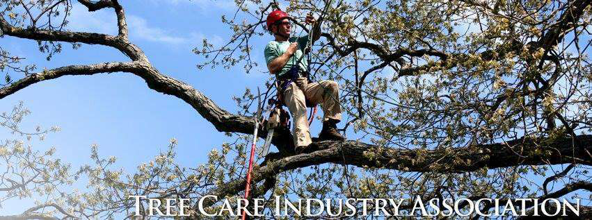 10153154 10152413233686466 6380113890803291891 N