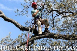 10153154 10152413233686466 6380113890803291891 N