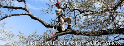 10153154 10152413233686466 6380113890803291891 N