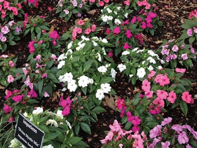 Ball Horticultural Company