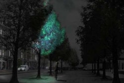 Glowing Streets