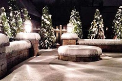 Photo: Grasshopper Lawns