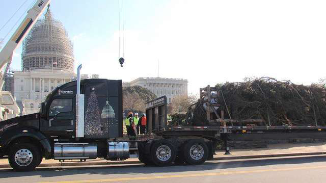 15260525143 Bae57cc422 Z