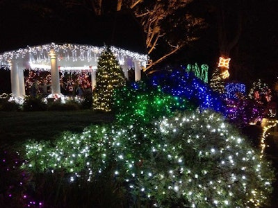 15840905748 5f56212056 B