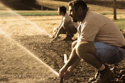 two landscapers working on sprinkler system one young one older
