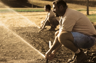 two landscapers working on sprinkler system one young one older
