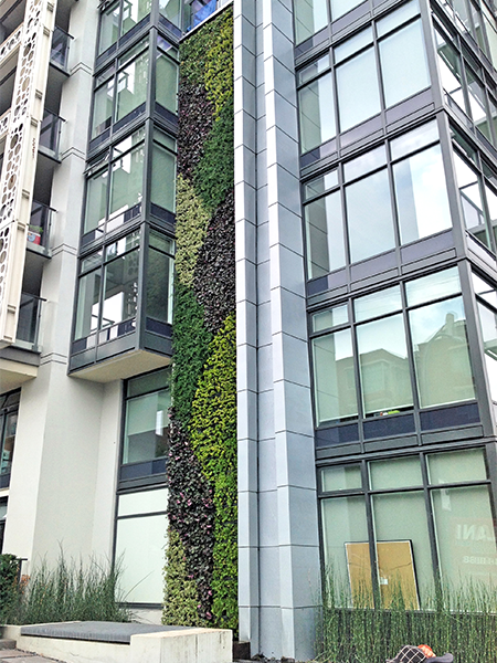 Gsky Green Wall Heather Street Vancouver Bc 450x600