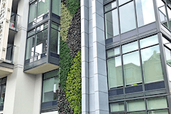 Gsky Green Wall Heather Street Vancouver Bc 450x600
