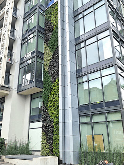 Gsky Green Wall Heather Street Vancouver Bc 450x600