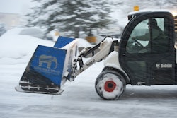 bobcatsnowwinter_bws3390