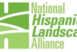 196695 100151043402668 8231054 N