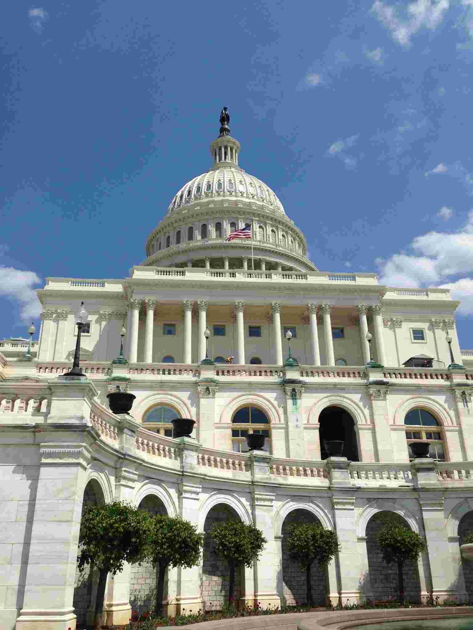 477231 4903445740016 173737379 O