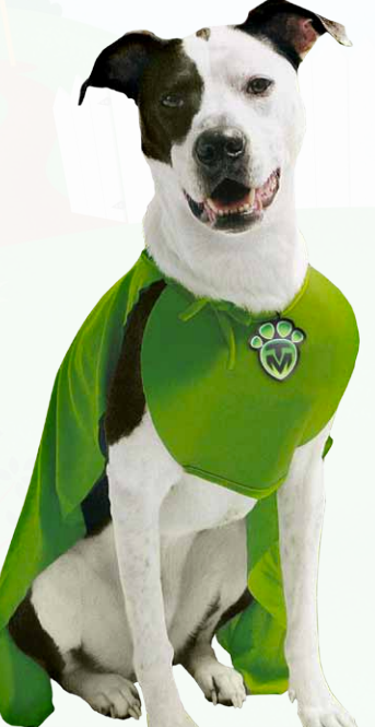 Screen Shot 2015-02-17 at 10.56.19 AM