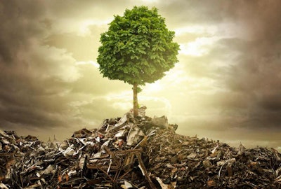 Sustainability Tlc
