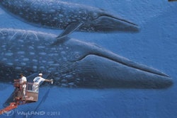Wyland Mural
