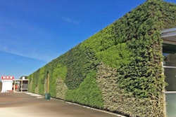 mcdugald-steele-vertical-garden