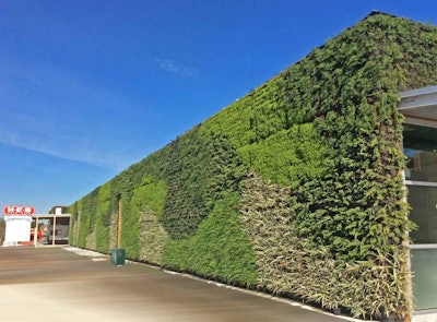 mcdugald-steele-vertical-garden