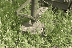 A sped-up look at the Stumpex in action. You can watch a real-time video below.