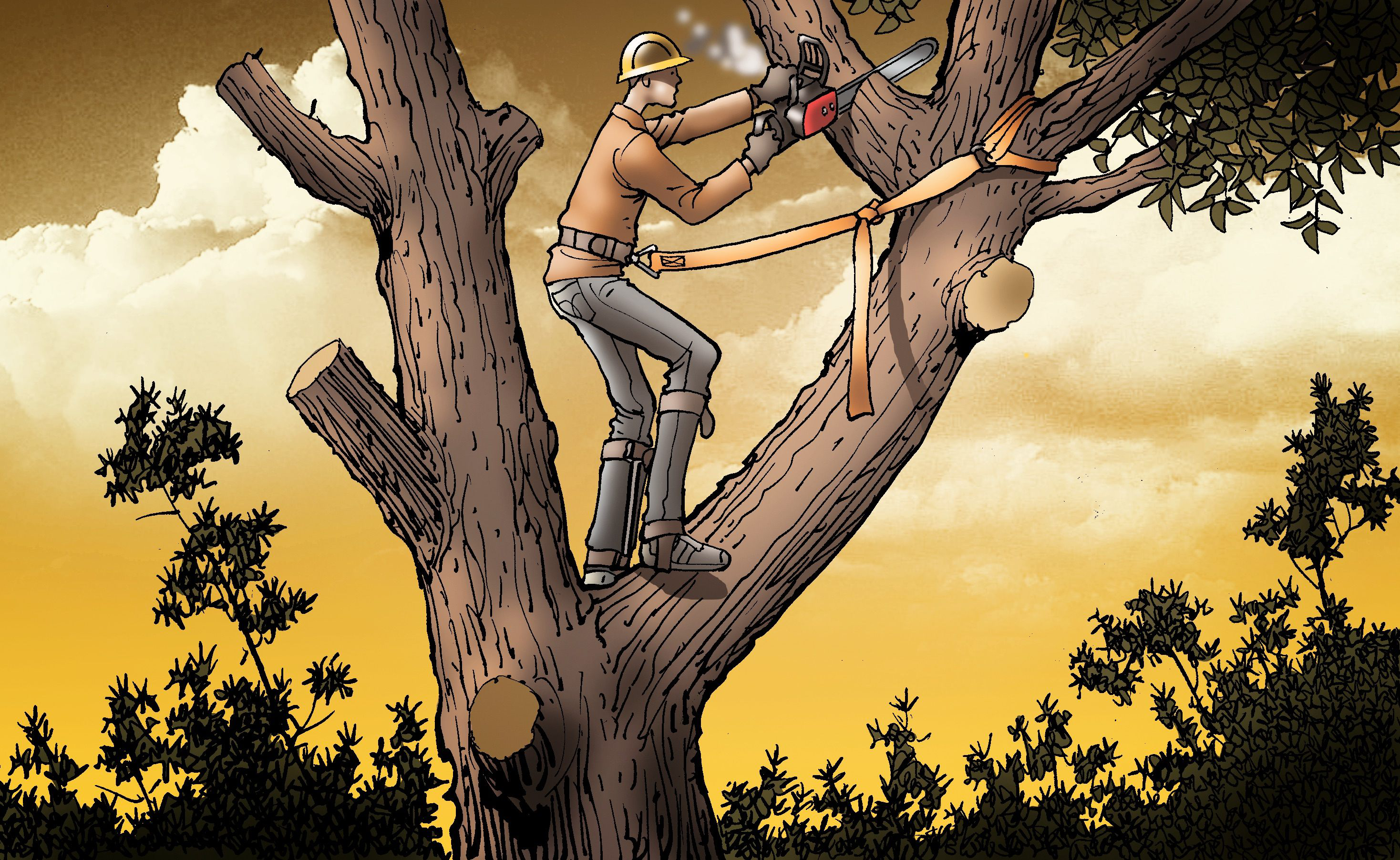 Safety Watch 54 copy