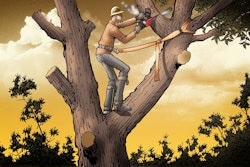 Safety Watch 54 copy