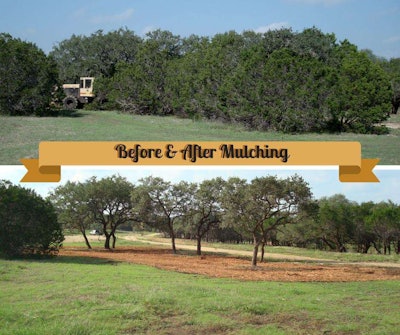 Photos: Cedar Eaters of Texas