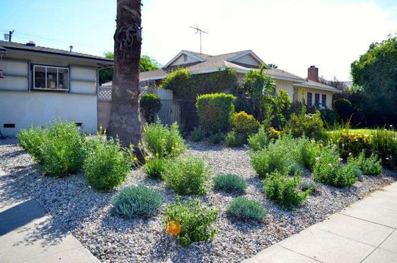 California Landscapers Help Homeowners Transition To Drought Resistant Lawns Total Landscape Care