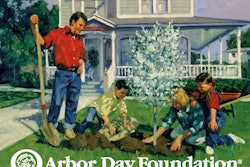 familyPlantDeciduous