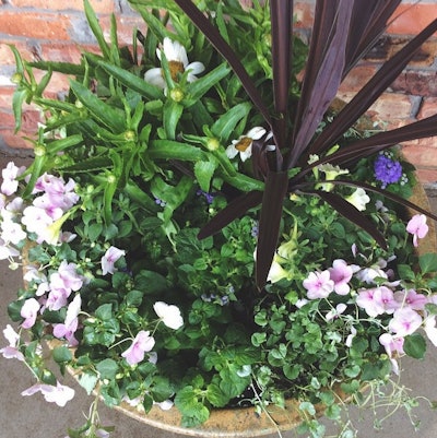 Photo: instagram.com/qualitylawnservicesllc
