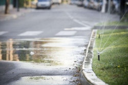 shutterstock_134583866