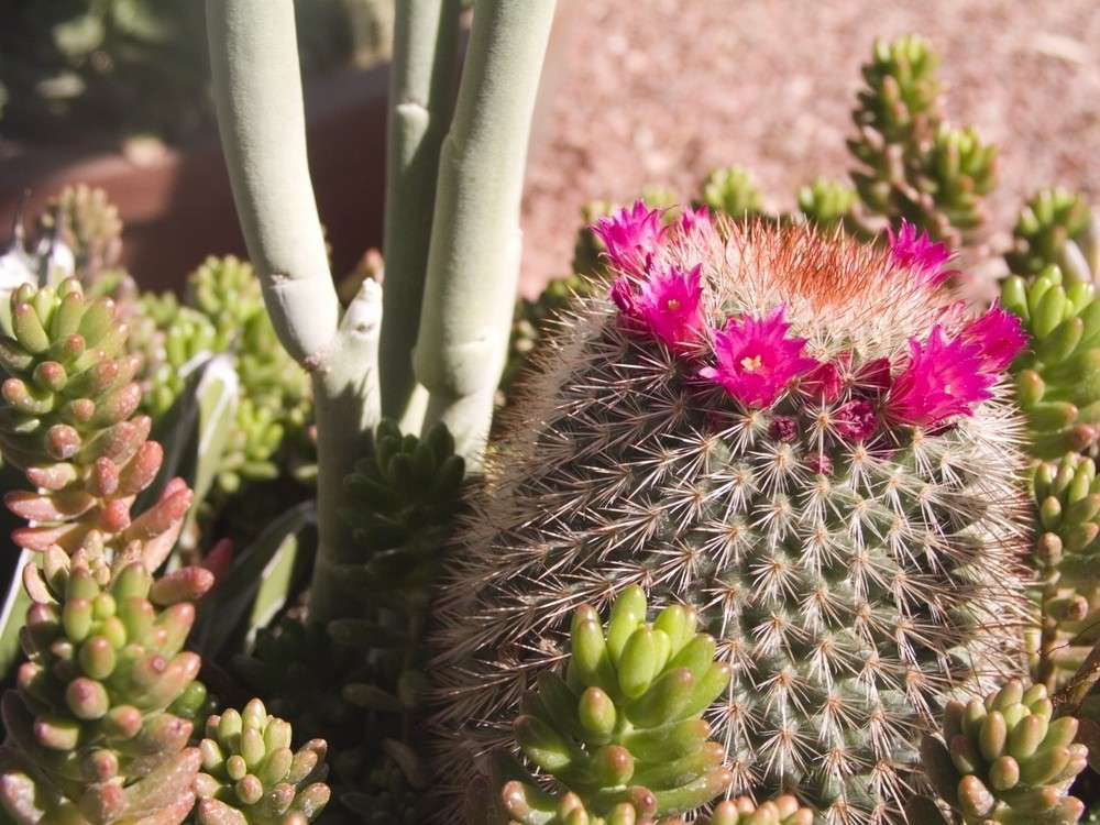 shutterstock_2564578