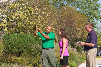 Photo: NALP/Philippe Nobile Photography.