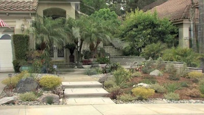 Tracee Buck’s drought-tolerant yard in Carlsbad, California. Photo: News10.