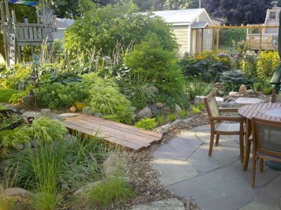 All water from downspouts on the back of the house is redirected into this rain garden. Photo: Courtesy of Field Outdoor Spaces.