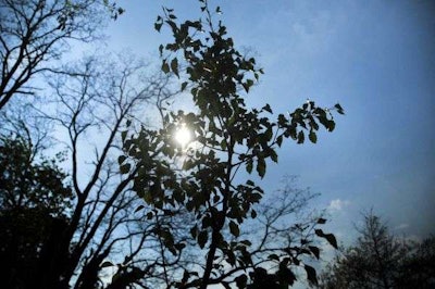 Photo: Danielle Finkelstein.