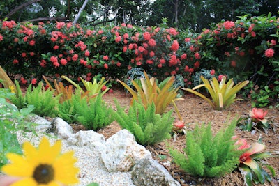 Having seasonally appropriate plant material will give any party the right feel. Photo: Reef Tropical Lawn, Key Largo, Florida.
