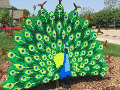 Photo: Pat Evans, KARE