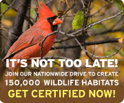 CWH_Fall2010_180x150