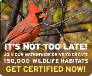 CWH_Fall2010_180x150