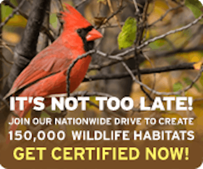 CWH_Fall2010_180x150