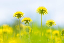 Photo: nourishinggrace.com