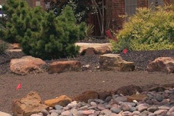 Texas homeowner Stephen Bender, a landscaper, heeded his community’s call for residents to reduce water use and put in this xeriscaping. Photo: WFAA-TV.