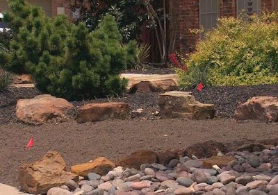 Texas homeowner Stephen Bender, a landscaper, heeded his community’s call for residents to reduce water use and put in this xeriscaping. Photo: WFAA-TV.