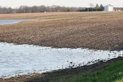 Ohio landscapers are having a hard time keeping their hourly workers employed, while farmers wonder whether their corn crops can survive the June 2015 rainfall amounts. Photo: agweb.com
