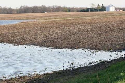 Ohio landscapers are having a hard time keeping their hourly workers employed, while farmers wonder whether their corn crops can survive the June 2015 rainfall amounts. Photo: agweb.com