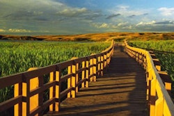 A wide variety of landscape projects, including this boardwalk through a marsh, may seek ‘Sites’ certification. Photo: sustainablesites.org