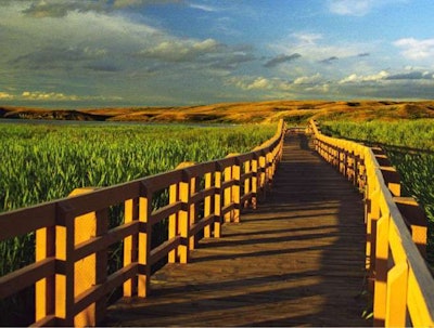 A wide variety of landscape projects, including this boardwalk through a marsh, may seek ‘Sites’ certification. Photo: sustainablesites.org