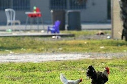 Photo: Taimy Alvarez/Sun Sentinel